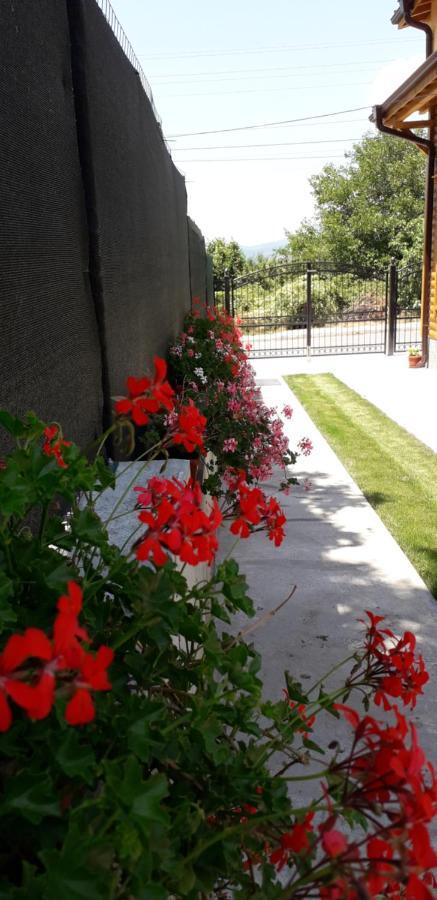 Guest House Ideal Sapareva Bania Exterior foto