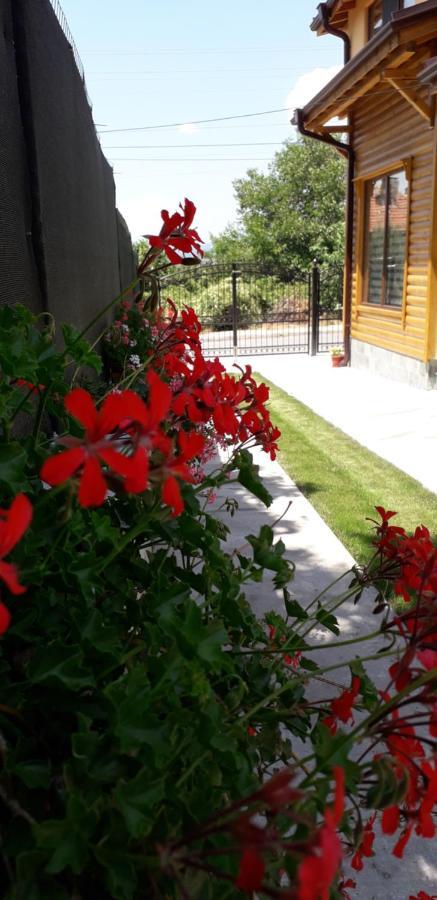 Guest House Ideal Sapareva Bania Exterior foto