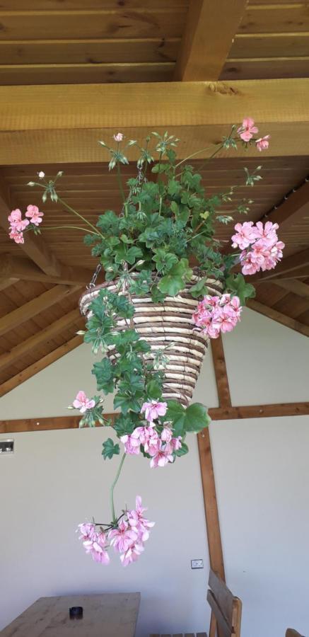 Guest House Ideal Sapareva Bania Exterior foto